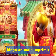 bingo animais imprimir