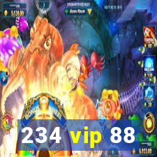 234 vip 88