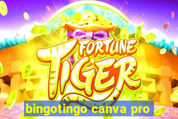 bingotingo canva pro