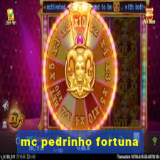 mc pedrinho fortuna