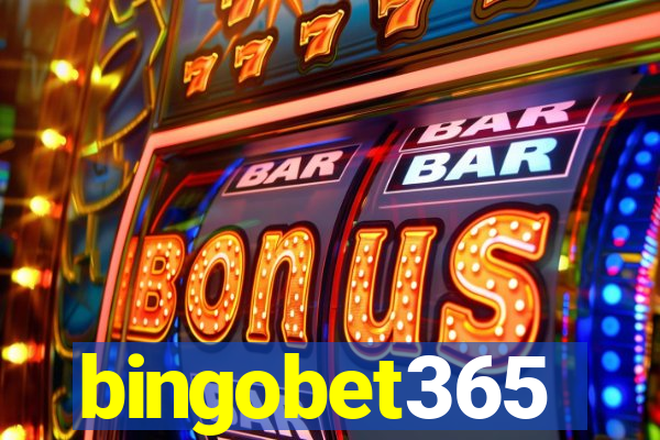 bingobet365